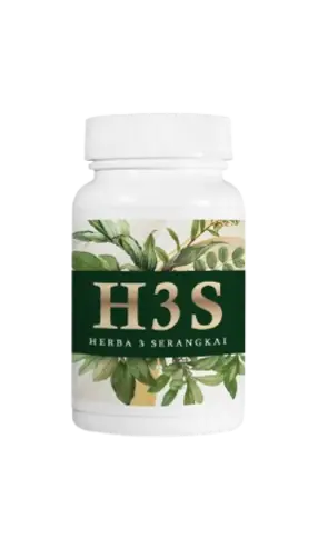 H3S